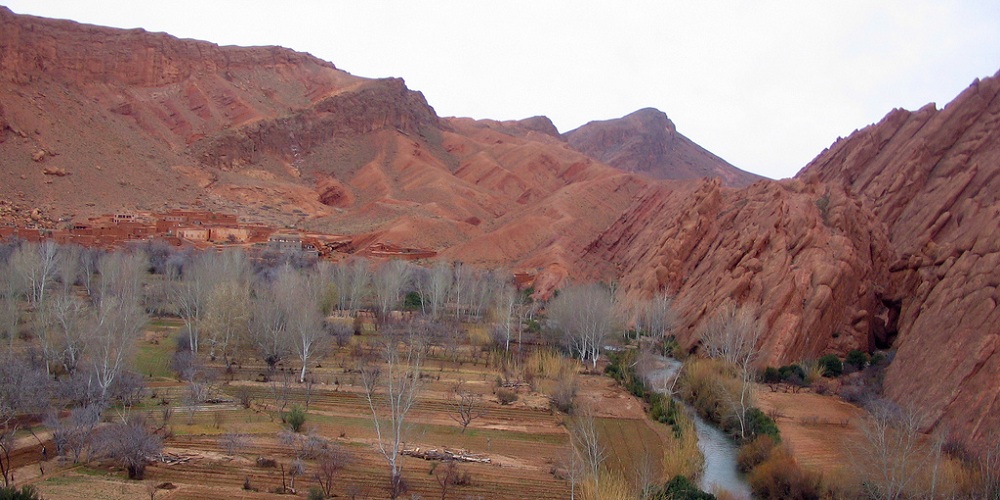 The Fascination of the Desert