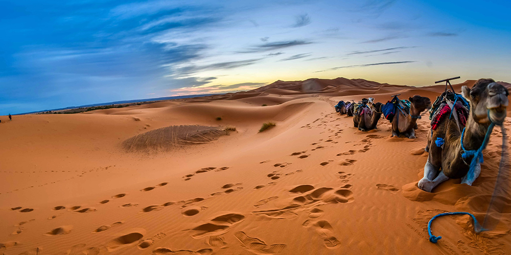 6 Days Zagora & Merzouga Group Tour